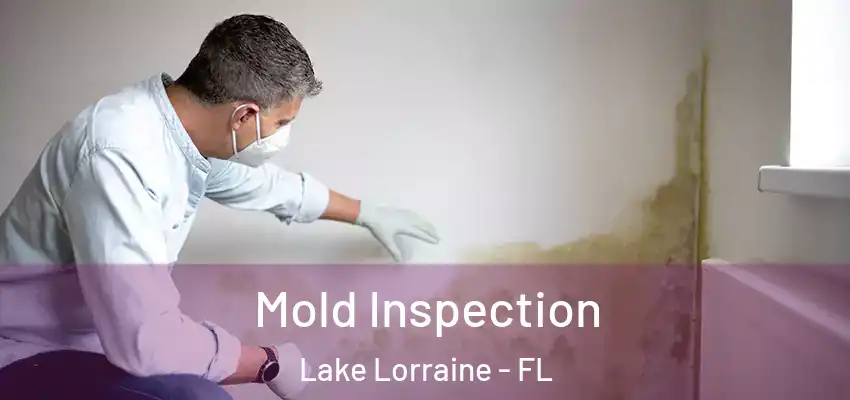 Mold Inspection Lake Lorraine - FL