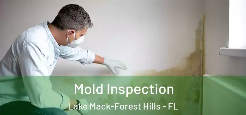  Mold Inspection Lake Mack-Forest Hills - FL