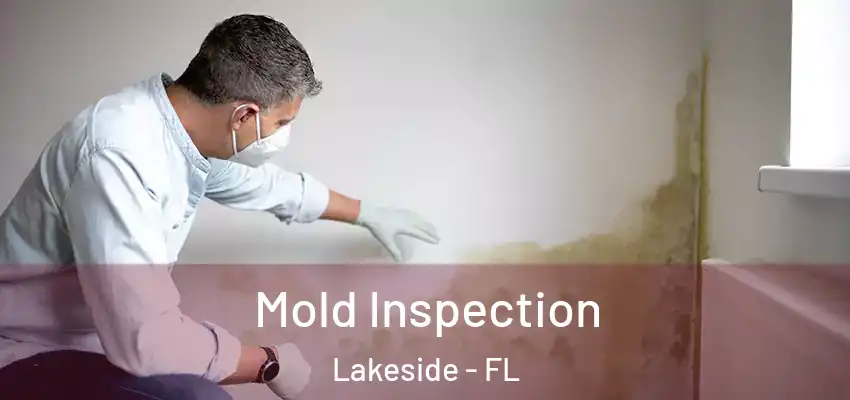  Mold Inspection Lakeside - FL