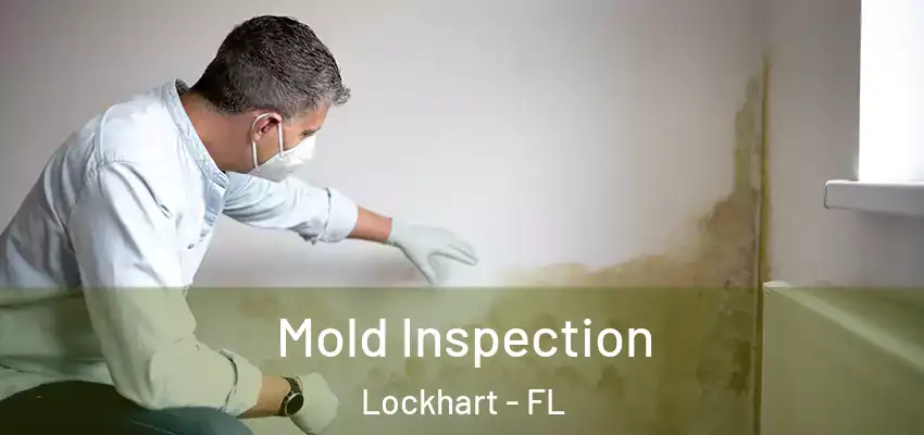 Mold Inspection Lockhart - FL