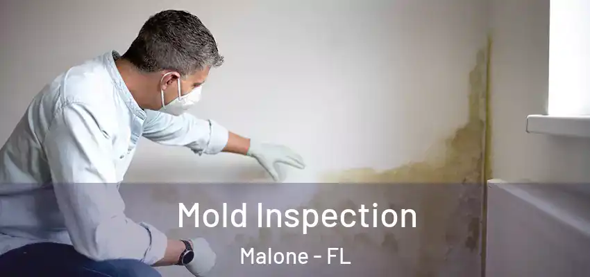  Mold Inspection Malone - FL