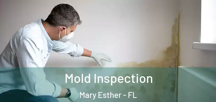Mold Inspection Mary Esther - FL