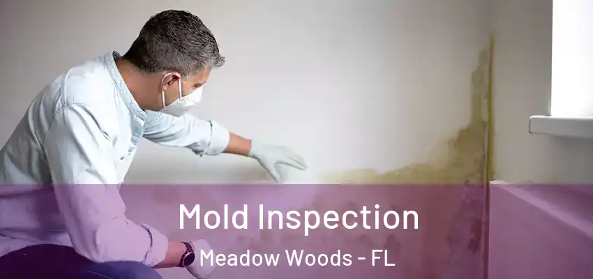  Mold Inspection Meadow Woods - FL