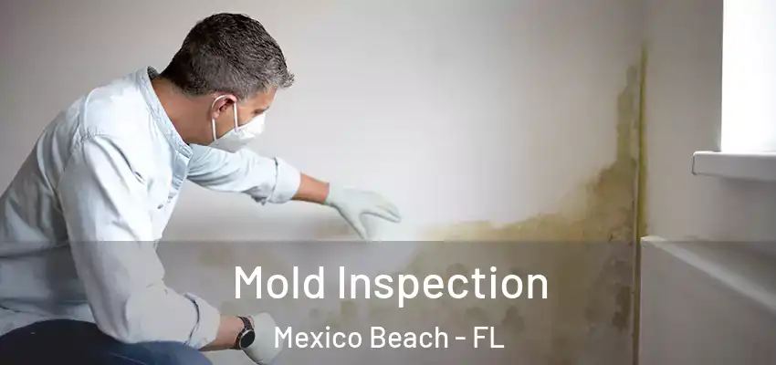  Mold Inspection Mexico Beach - FL