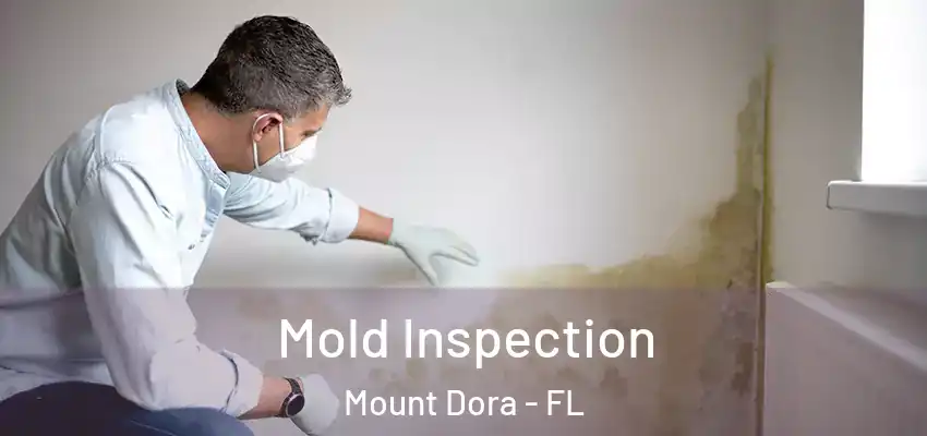  Mold Inspection Mount Dora - FL