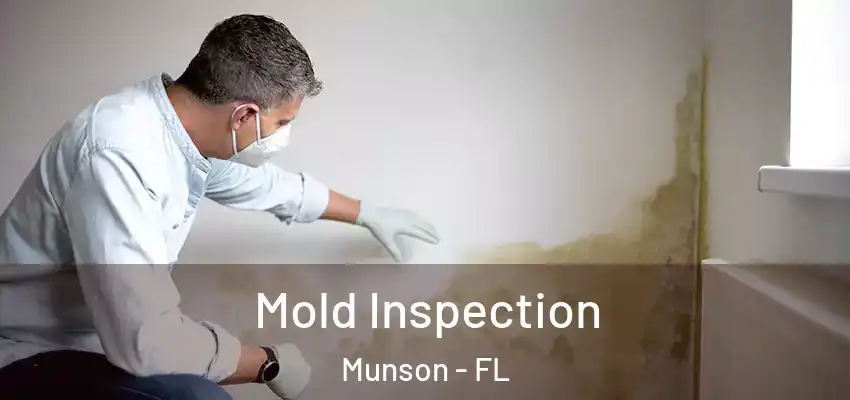 Mold Inspection Munson - FL