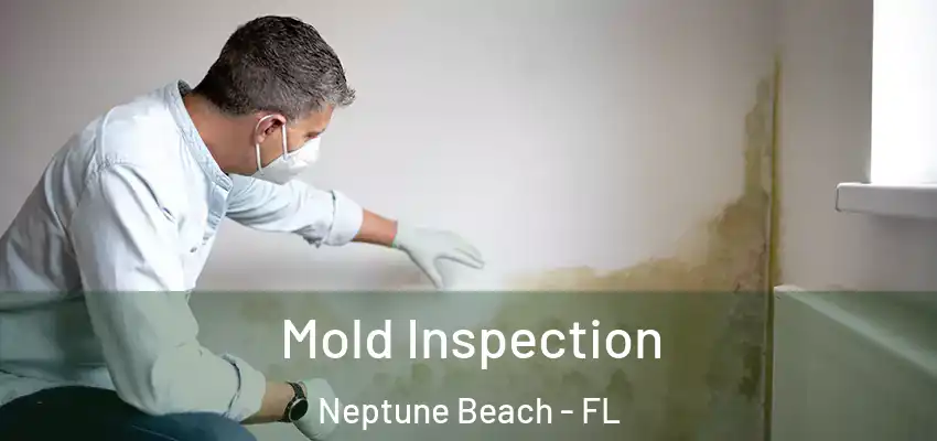 Mold Inspection Neptune Beach - FL