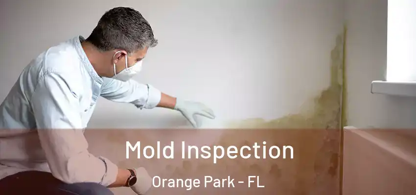  Mold Inspection Orange Park - FL
