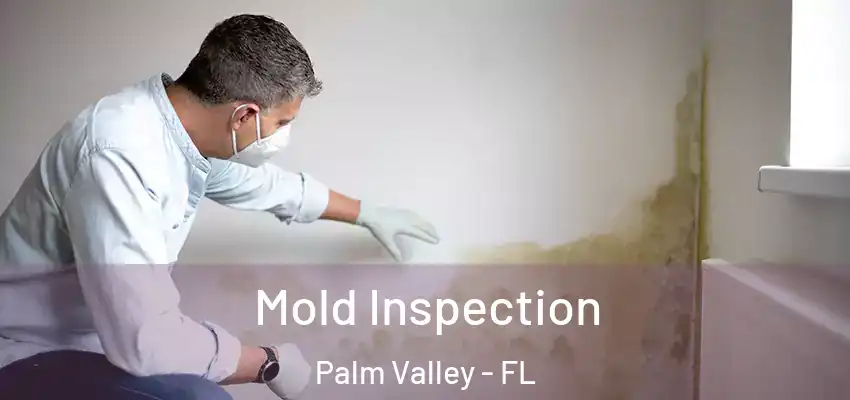  Mold Inspection Palm Valley - FL