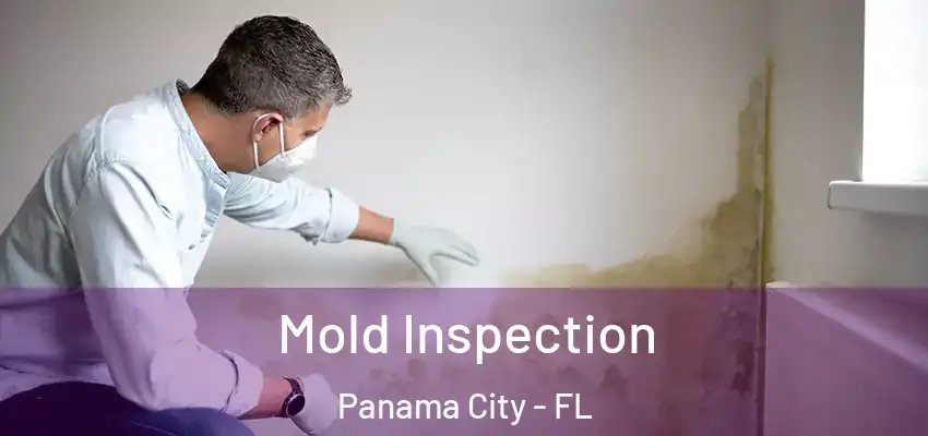  Mold Inspection Panama City - FL