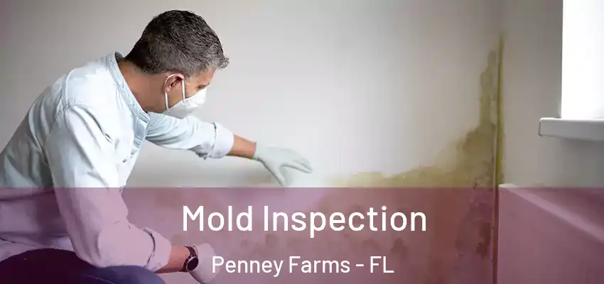  Mold Inspection Penney Farms - FL