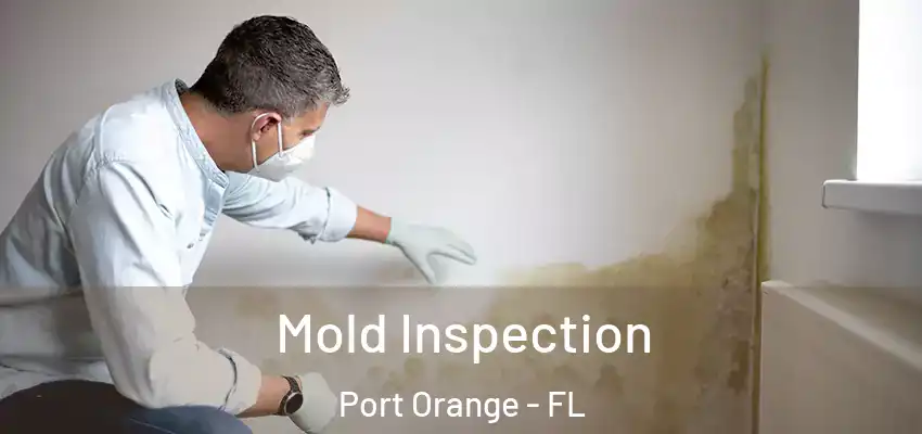 Mold Inspection Port Orange - FL