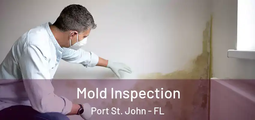  Mold Inspection Port St. John - FL