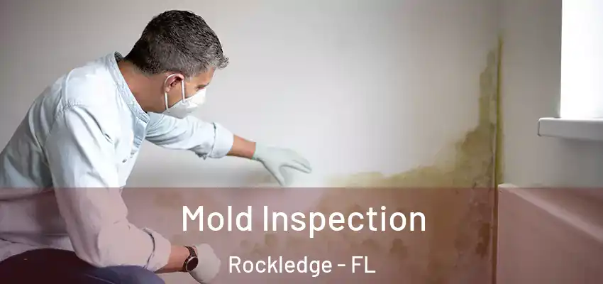 Mold Inspection Rockledge - FL