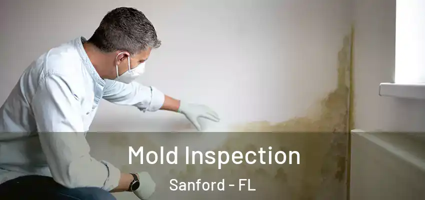  Mold Inspection Sanford - FL