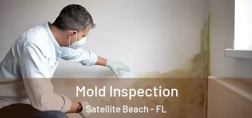 Mold Inspection Satellite Beach - FL
