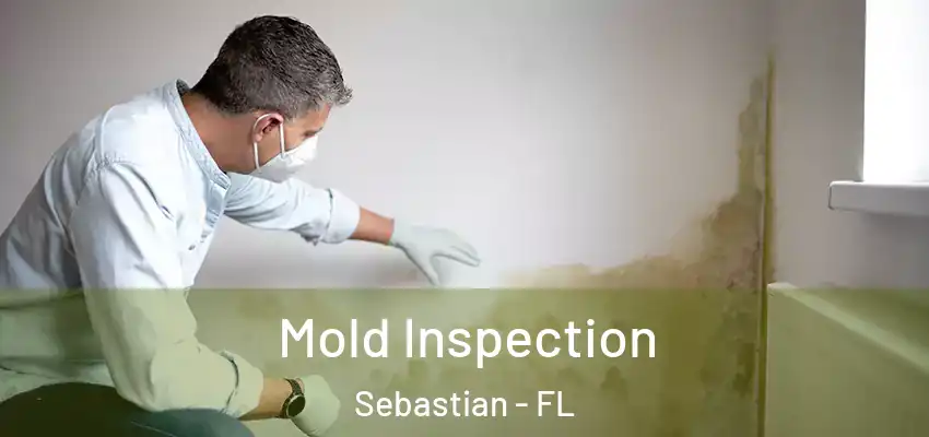 Mold Inspection Sebastian - FL