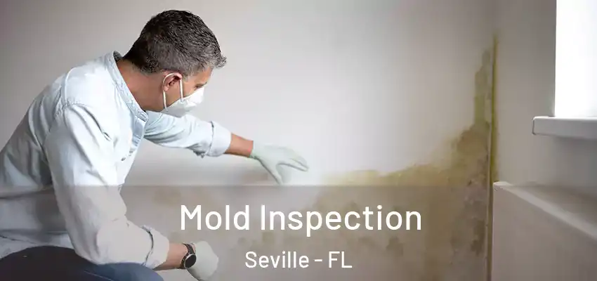 Mold Inspection Seville - FL