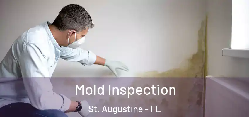 Mold Inspection St. Augustine - FL