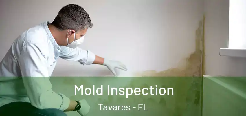  Mold Inspection Tavares - FL