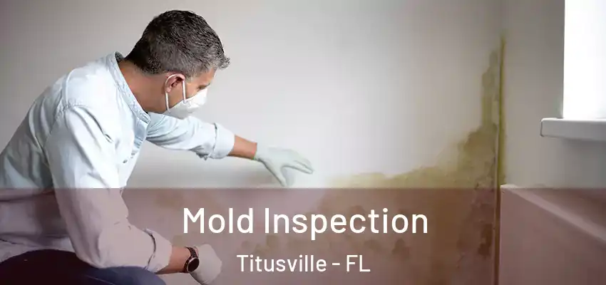 Mold Inspection Titusville - FL