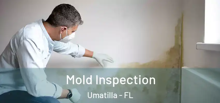  Mold Inspection Umatilla - FL