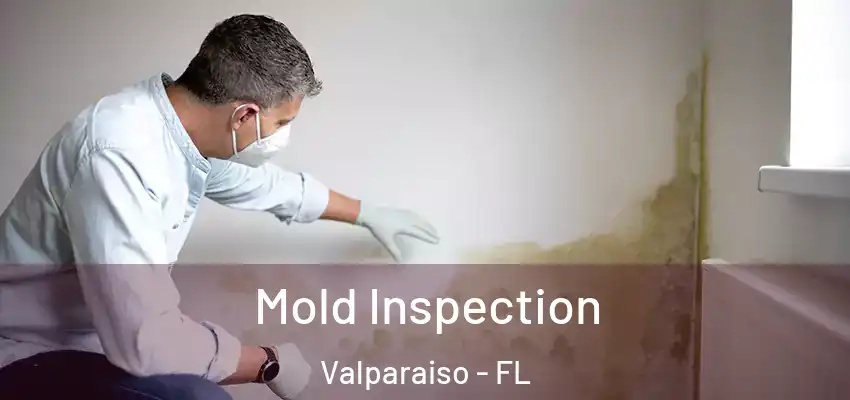 Mold Inspection Valparaiso - FL