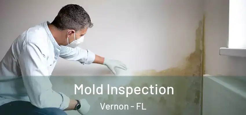  Mold Inspection Vernon - FL