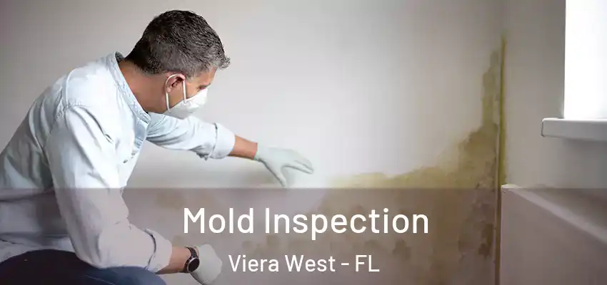  Mold Inspection Viera West - FL