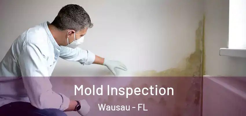 Mold Inspection Wausau - FL