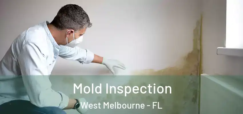 Mold Inspection West Melbourne - FL