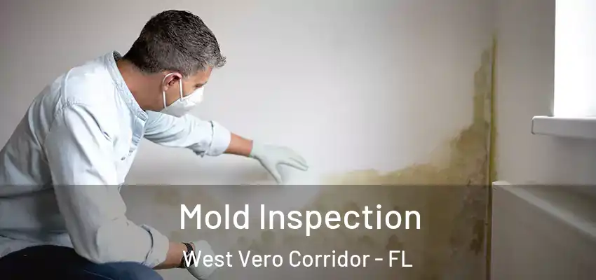 Mold Inspection West Vero Corridor - FL