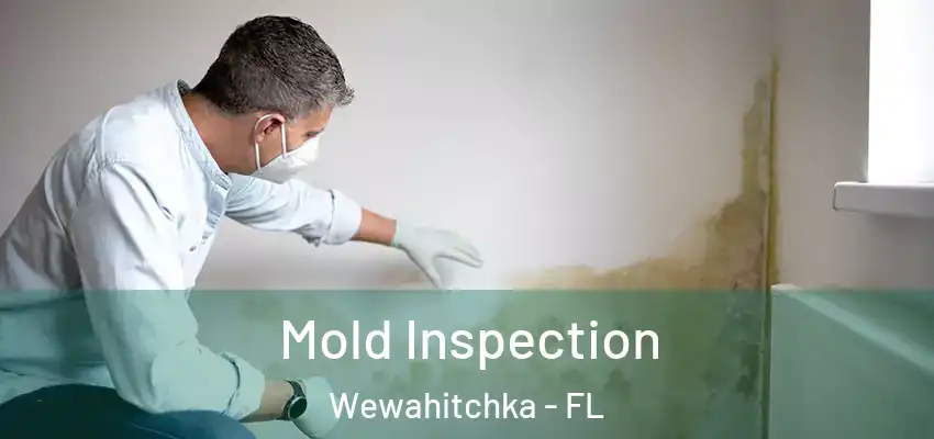  Mold Inspection Wewahitchka - FL