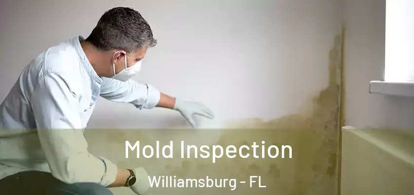  Mold Inspection Williamsburg - FL