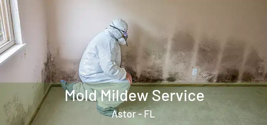  Mold Mildew Service Astor - FL