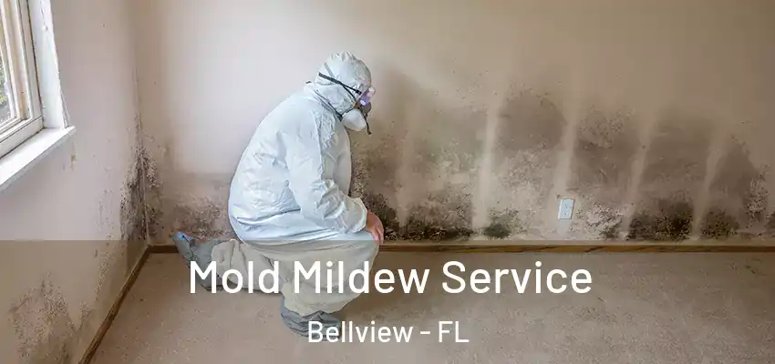  Mold Mildew Service Bellview - FL