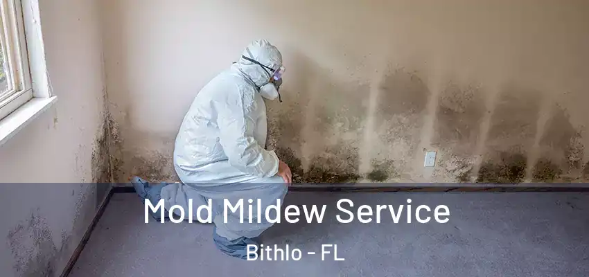  Mold Mildew Service Bithlo - FL