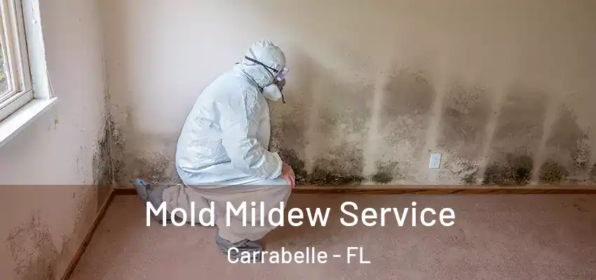 Mold Mildew Service Carrabelle - FL