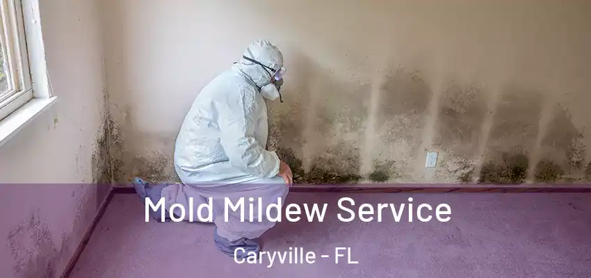  Mold Mildew Service Caryville - FL