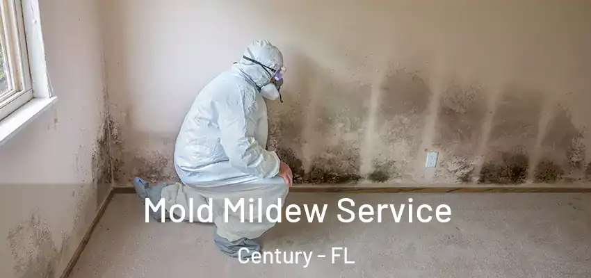  Mold Mildew Service Century - FL