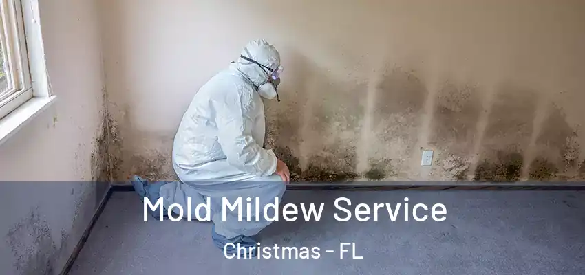  Mold Mildew Service Christmas - FL