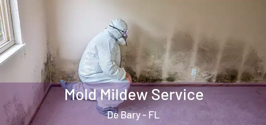  Mold Mildew Service De Bary - FL