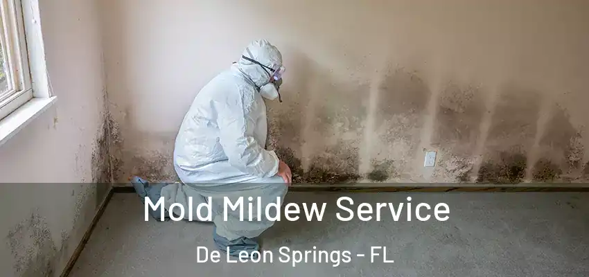  Mold Mildew Service De Leon Springs - FL