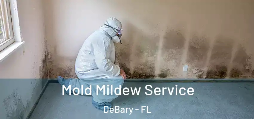 Mold Mildew Service DeBary - FL