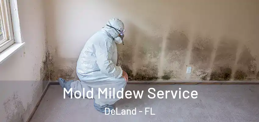  Mold Mildew Service DeLand - FL