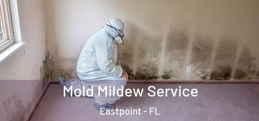  Mold Mildew Service Eastpoint - FL