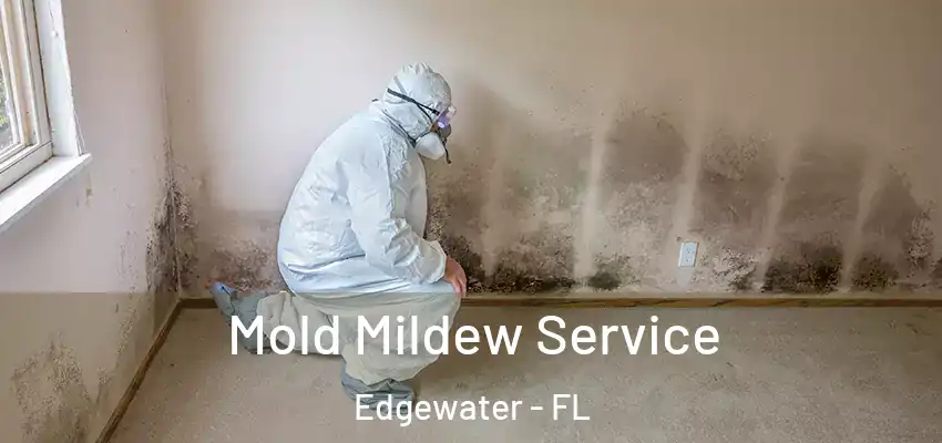  Mold Mildew Service Edgewater - FL