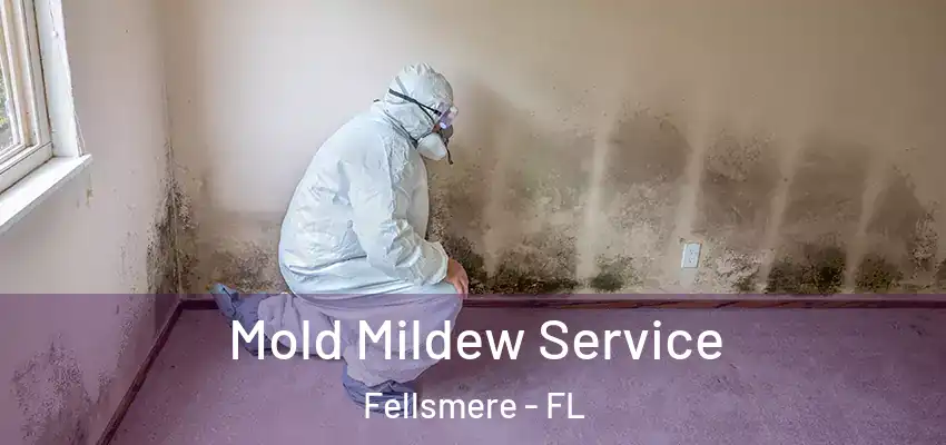  Mold Mildew Service Fellsmere - FL