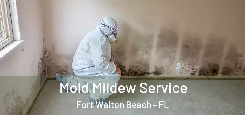  Mold Mildew Service Fort Walton Beach - FL