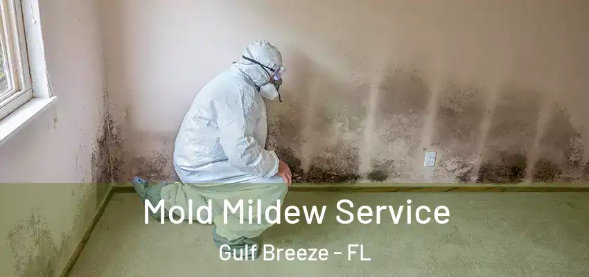 Mold Mildew Service Gulf Breeze - FL